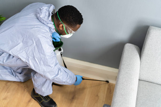 Best Commercial Pest Control  in South Amboy, NJ